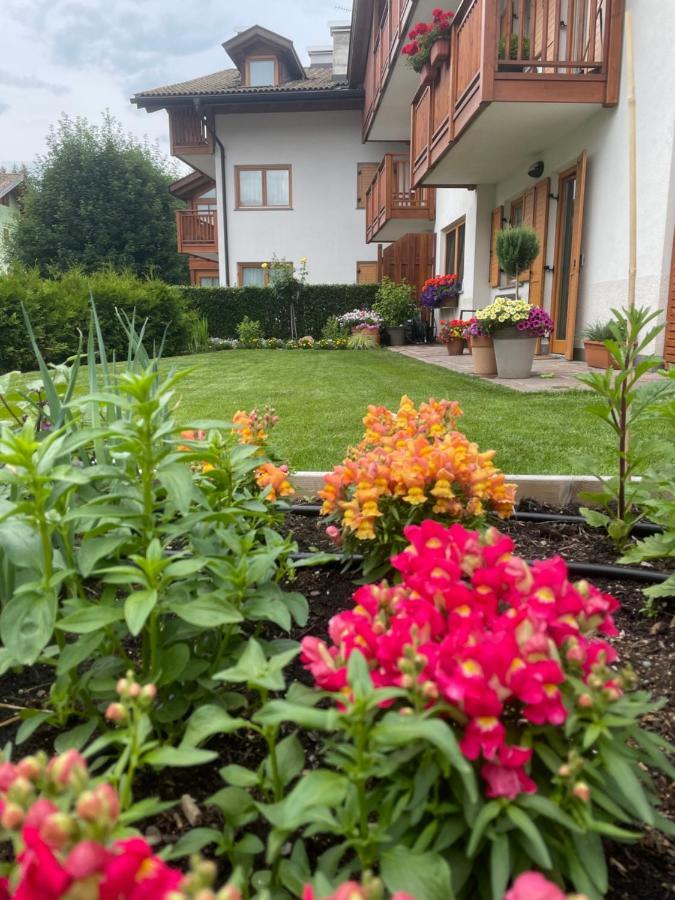 カヴァレーゼCasa Beba - Agenzia Dolomiti Affittiアパートメント エクステリア 写真